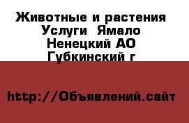 Животные и растения Услуги. Ямало-Ненецкий АО,Губкинский г.